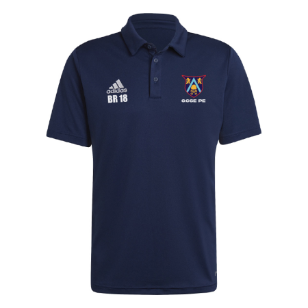 Ash Manor Polo (Year 11)